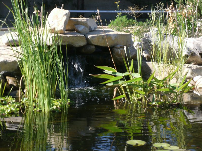 cascade naturelle